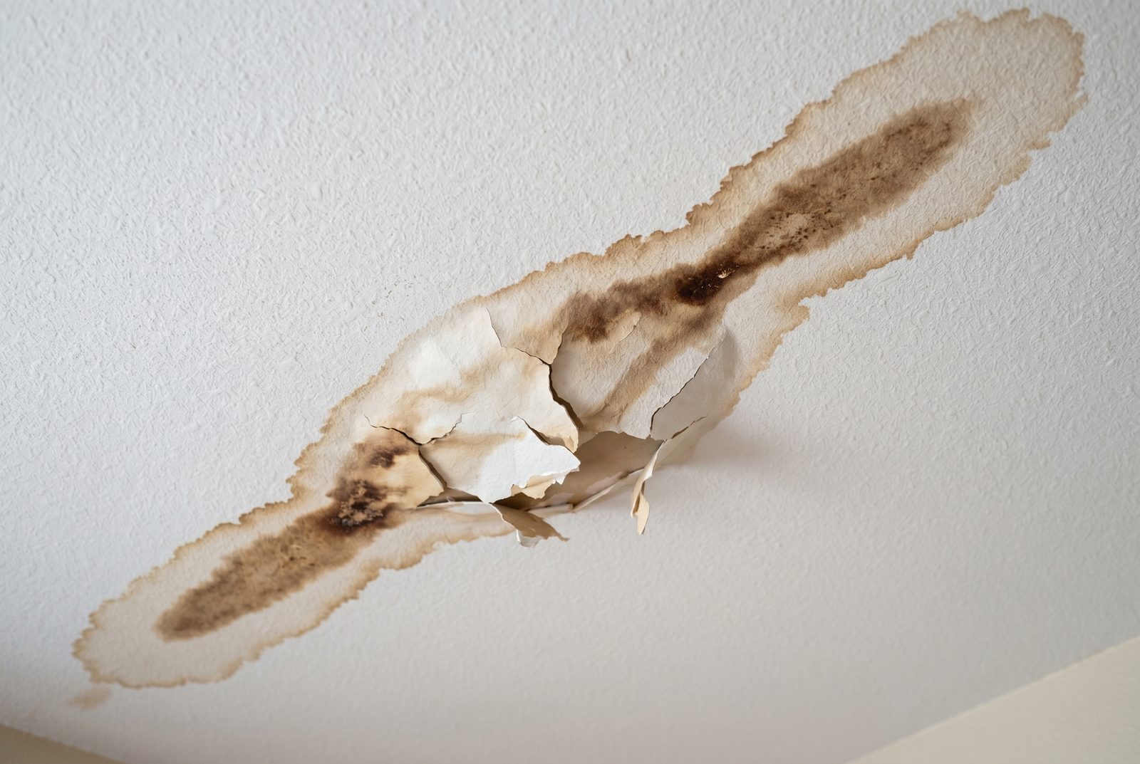 Water-damaged ceiling with brown stain and peeling drywall &mdash; Aurora ceiling repair